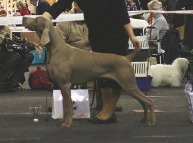 Ashlaren Caipiroska