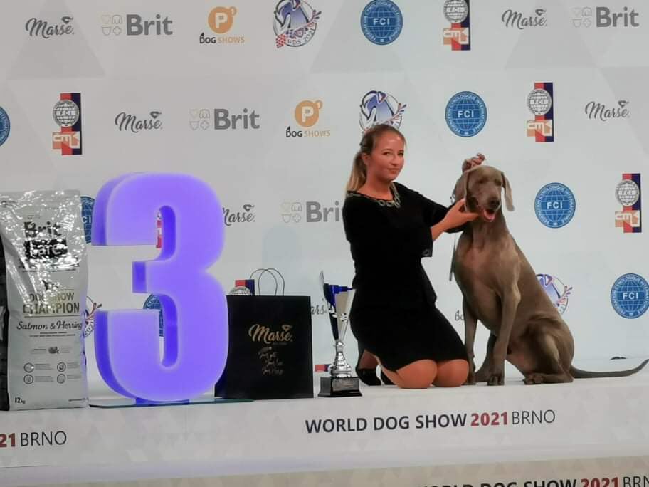 Vis A Vis Alive Silver podczas World Dog Show 2021 w Brnie